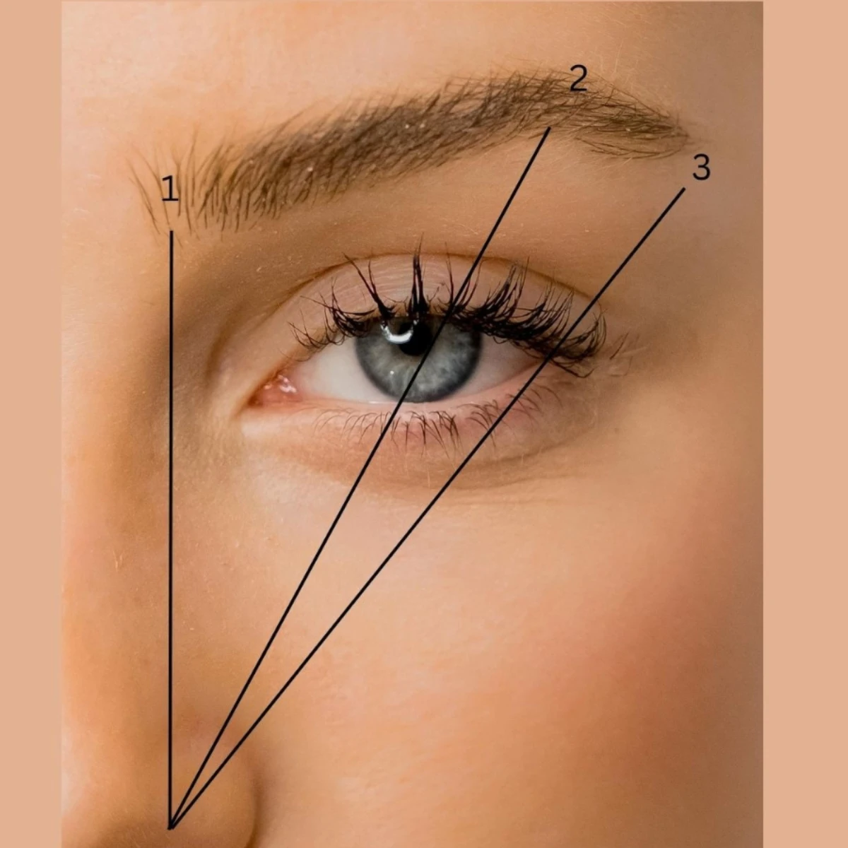 Bridal brow shape with measurements and styling