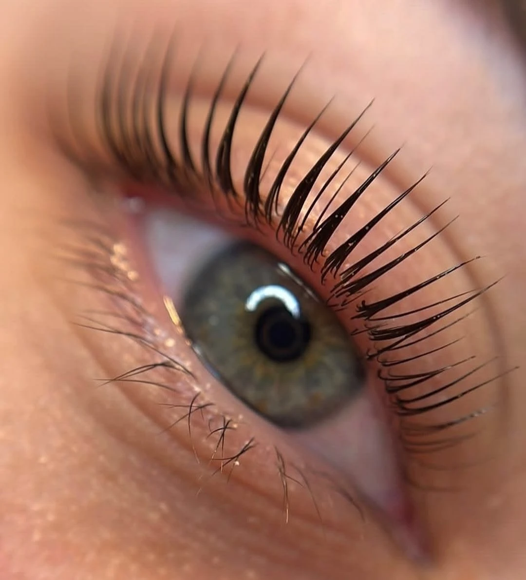 Korean Lash Lift