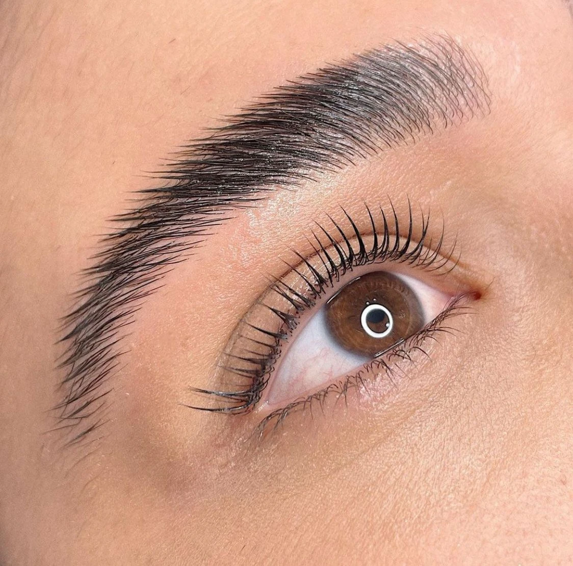 Brow and lash lamination package with zahra baba