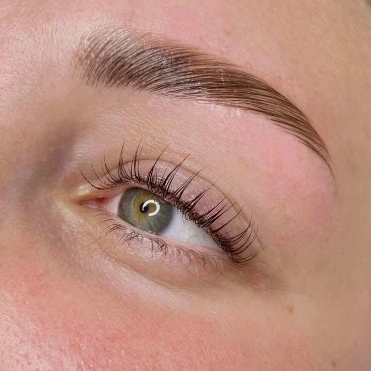 eyebrows and lashes lamination combo